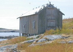 Bestemorbua pÃ¥ Flatholmen002.jpg