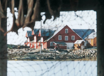 Fiskemottak u brygge.jpg