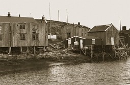 Hyllabua.jpg
