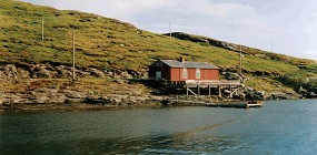 Petterbua.jpg