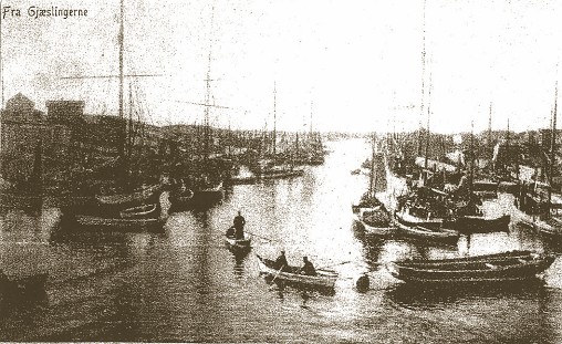 Sverre Hasen .jpg