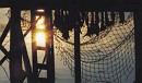 Untitled-5.jpg